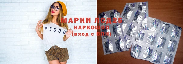 спиды Горняк