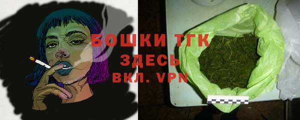 спиды Горняк