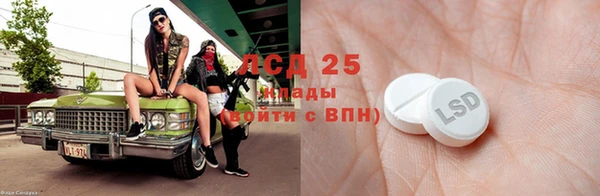 спиды Горняк