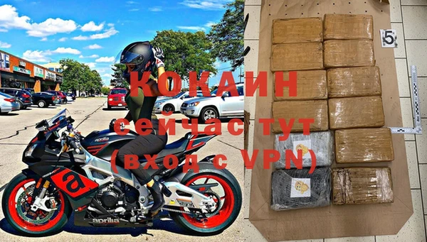 спиды Горняк
