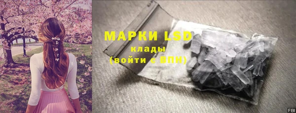 спиды Горняк