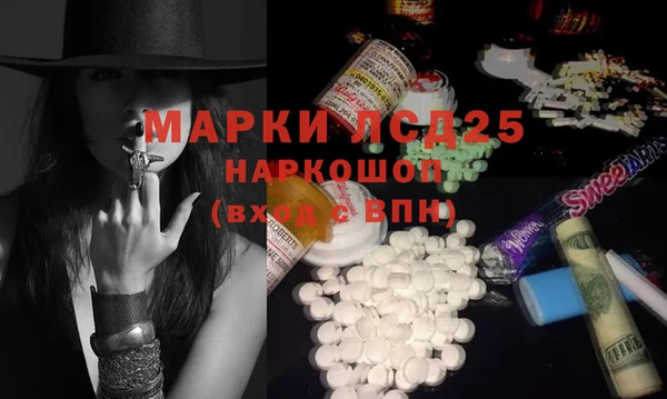 спиды Горняк