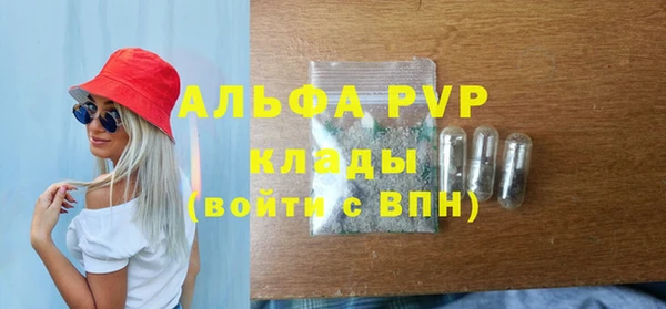 спиды Горняк