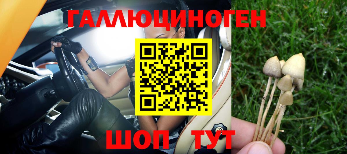 Псилоцибиновые грибы прущие грибы  Острогожск  Псилоцибиновые грибы MAGIC MUSHROOMS 