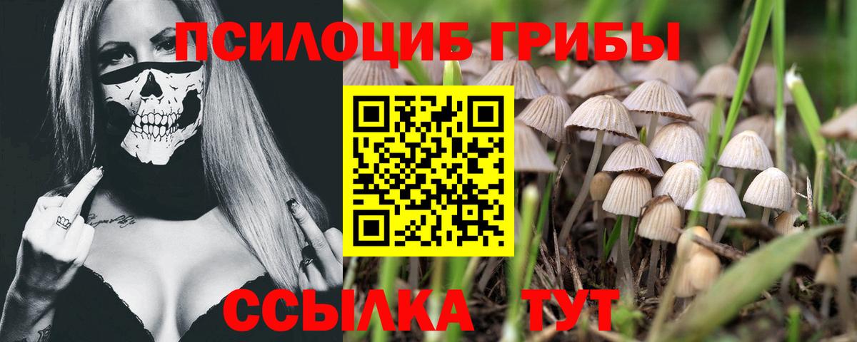 Псилоцибиновые грибы мицелий Острогожск